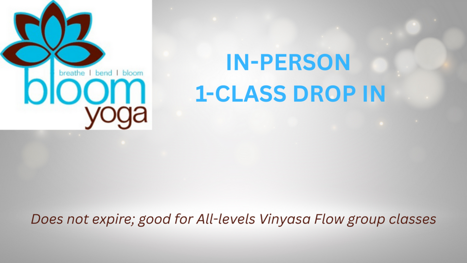 In-Person 1-class drop in
