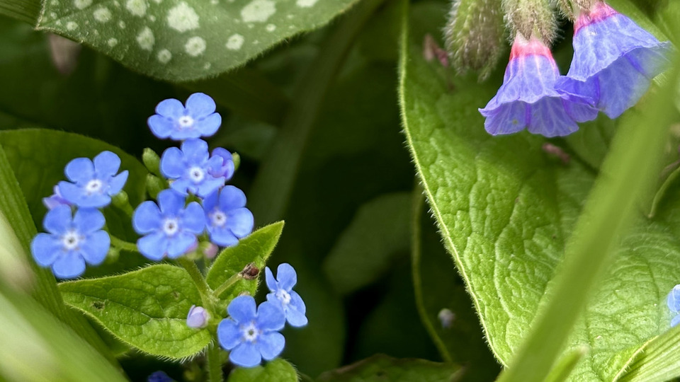 Bloom and Receive: A Self-Love Experience