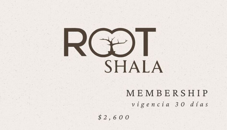 Mensualidad Ilimitada