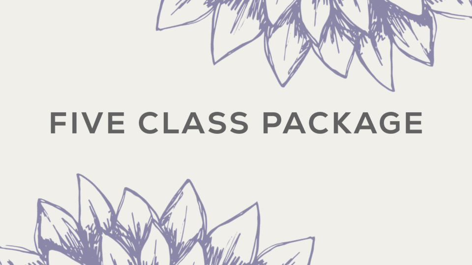 Five Class Package