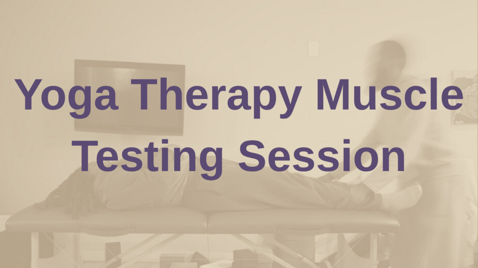 Yoga Therapy Practice Series