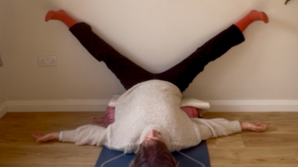 Launch Special: 7 days Free Trial Online