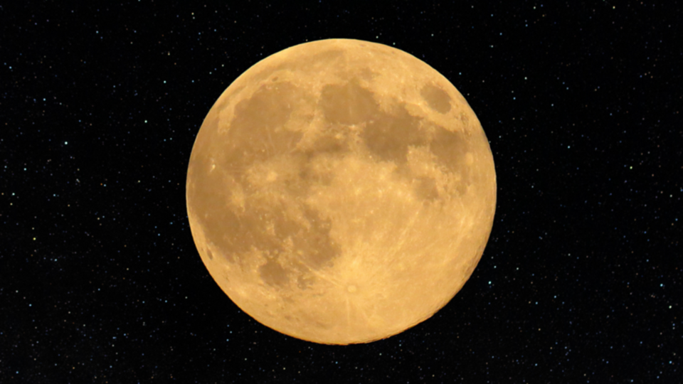 Season Pass - Full Moon Yoga Journey