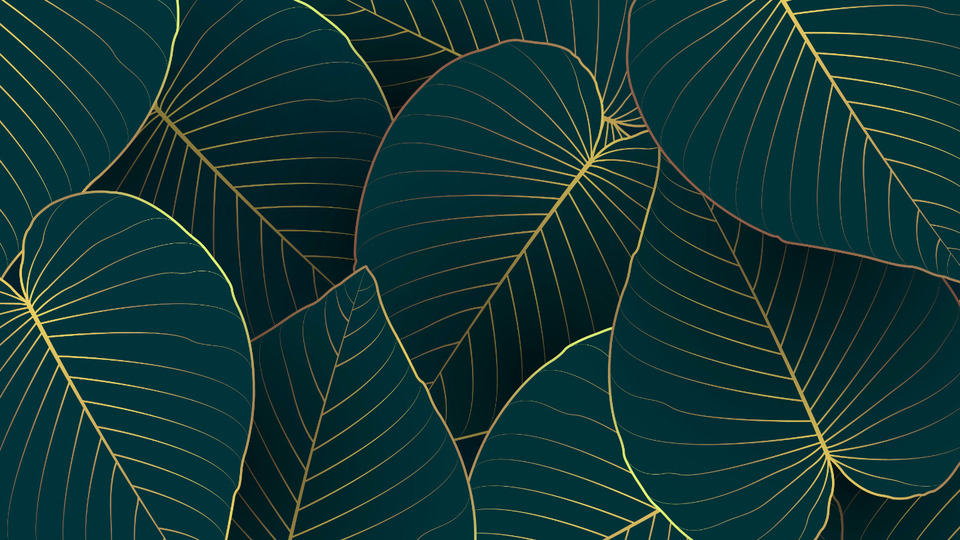 In Your Element | 6 Class Package