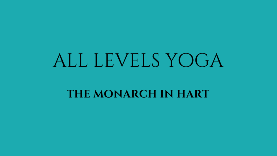 All Levels Yoga