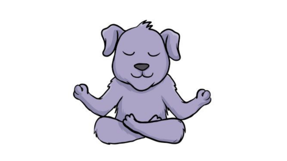 Moncton Puppy Yoga - PRIVATE