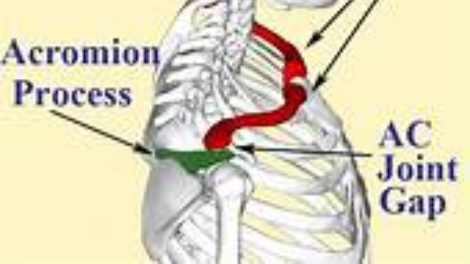 Motionsculpt: Clavicles - outer end