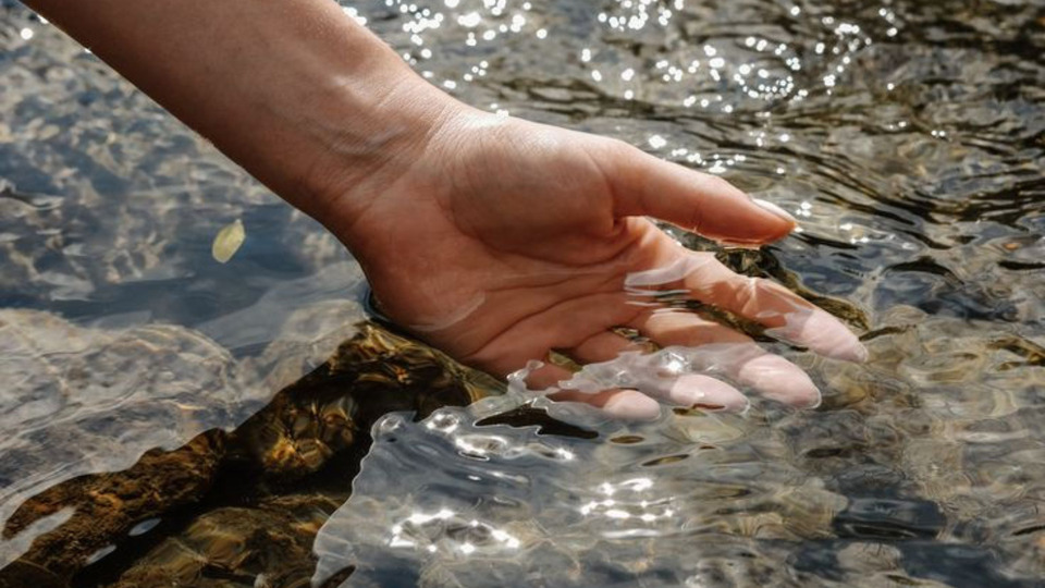 Offering Image