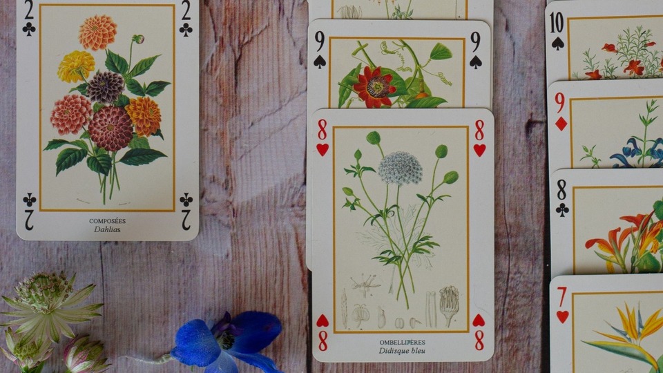 Offering Image