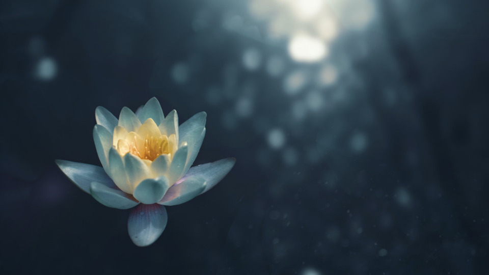 1:1 Yoga Therapy (60 minutes)