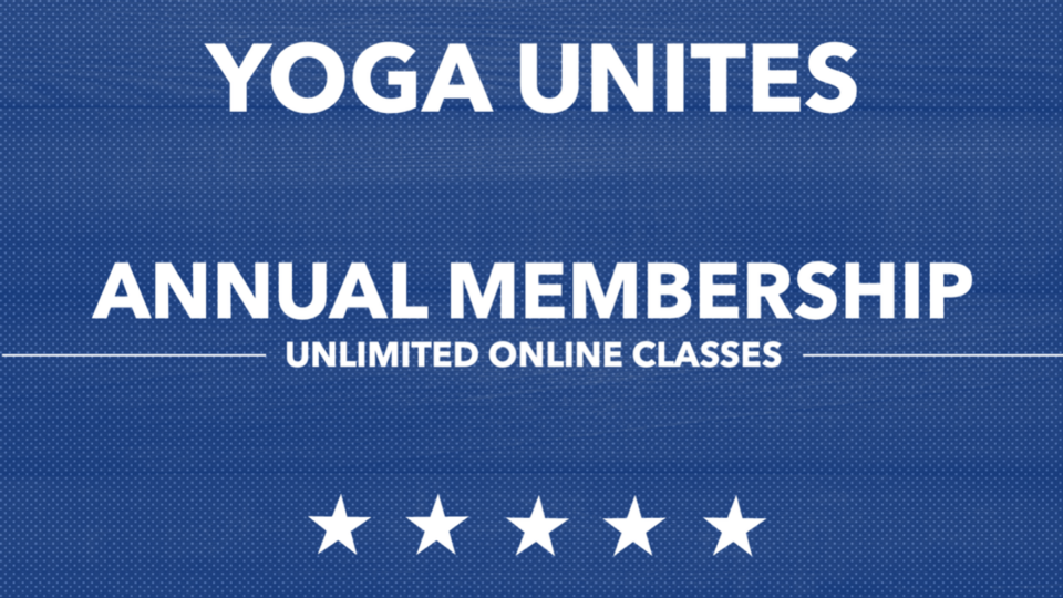 Annual Membership, Unlimited Online only
