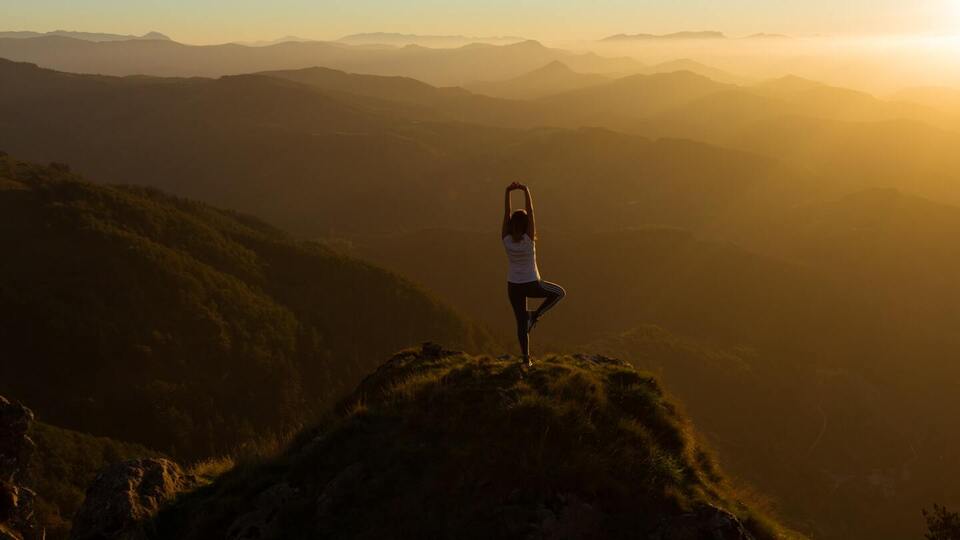 The Hybrid Lioness: The Best of Both Worlds