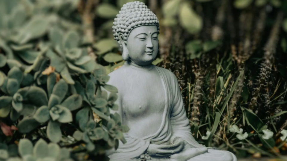 Therapeutic yoga - 5 sessions specialty pass