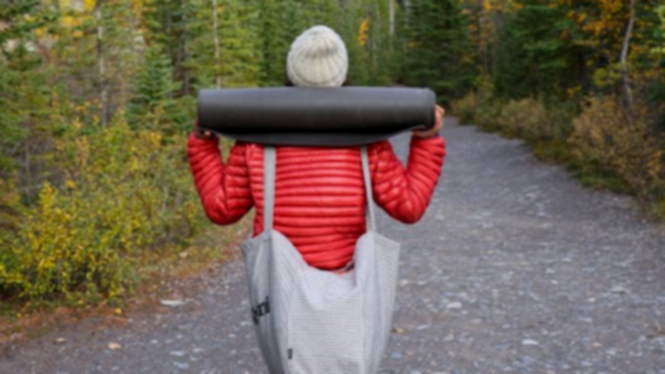 Trauma Informed Practice: On and Off the Mat $600