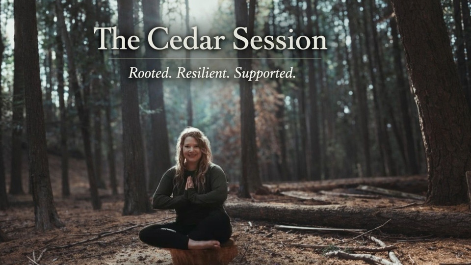 The Cedar Session 