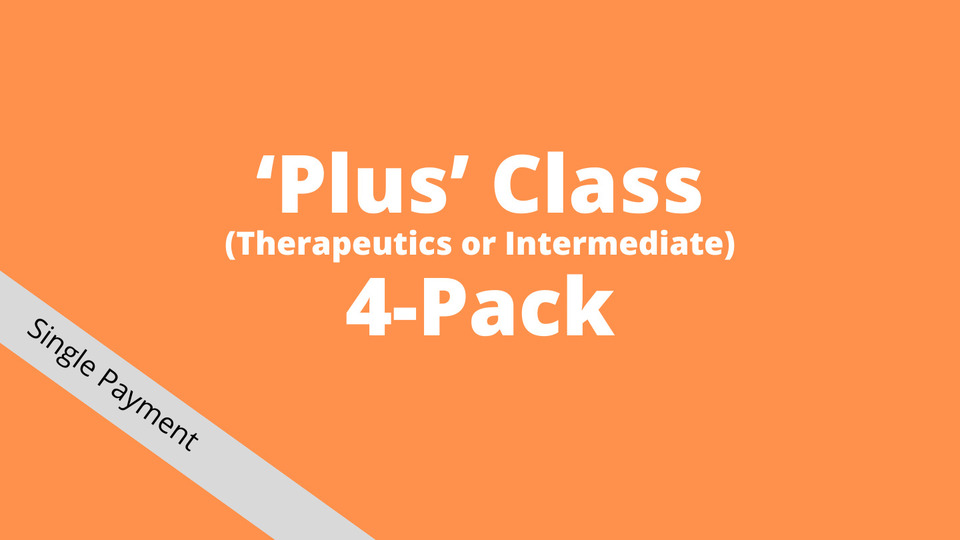 Plus Class 4-Pack