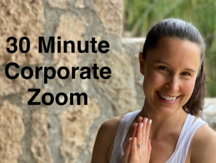 30 Minute Corporate Zoom 
