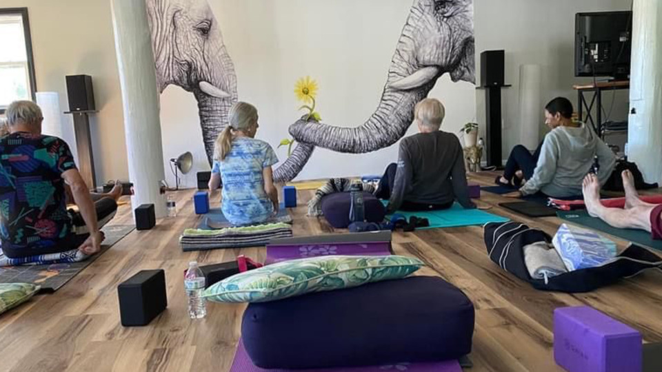 Blue Zones Membership 