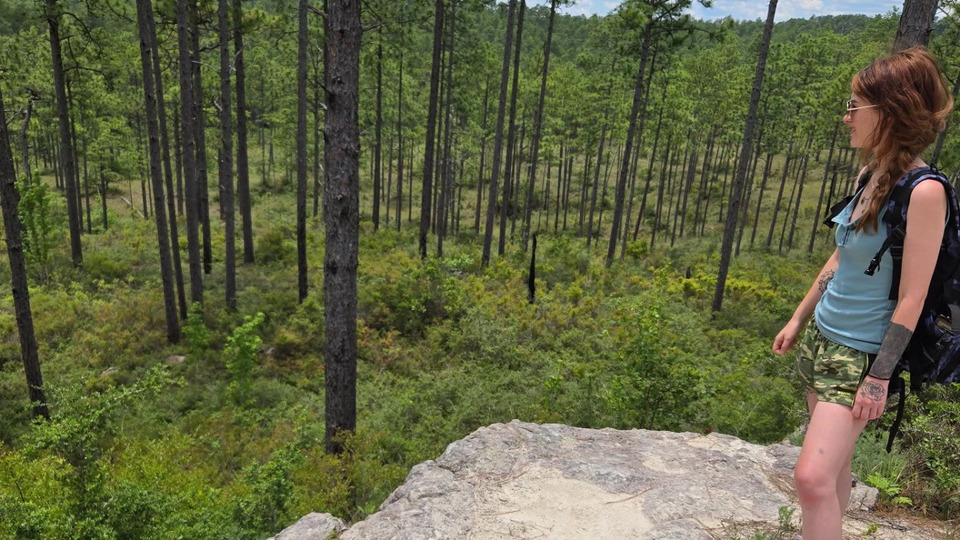 🌲 Holistic Homesteaders Nature Retreat: July 18–20, 2025 🌱 $125