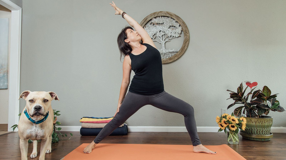 Saturday ONLINE Yoga - Catherine