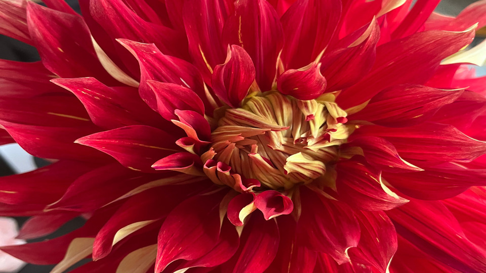 Offering Image