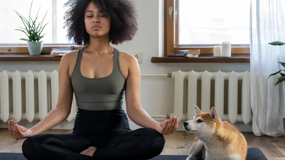 Class Video Library Membership