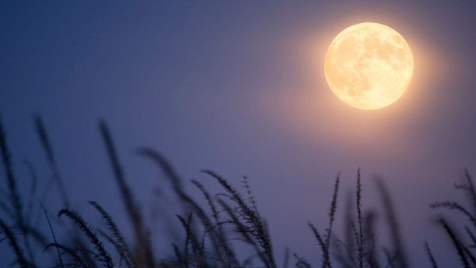 Yoga on the Full Moon