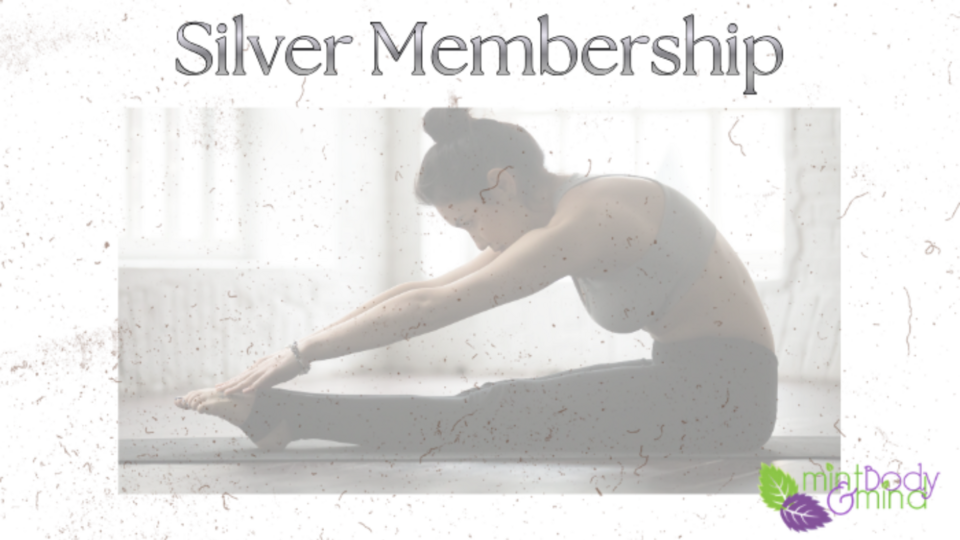 Silver Monthly Member