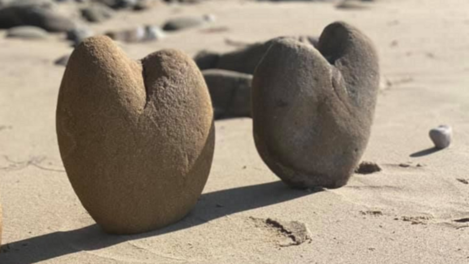 Digital Wellness Support - 4 x 30 Minute Follow Ups