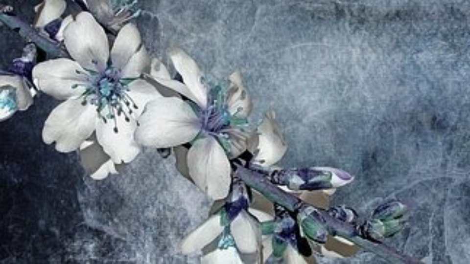 Private Session - 60 minutes