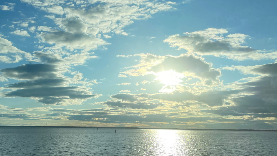 Online Private Yoga Sessions--10 Class Package (Best Deal)