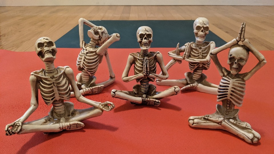 Yoga for Strong Bones Series *SEMI-PRIVATE* Package