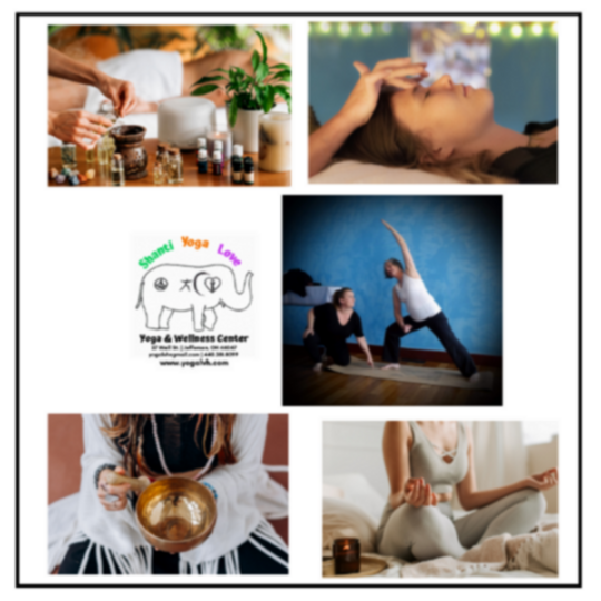 Wellness Service pack (non-member)