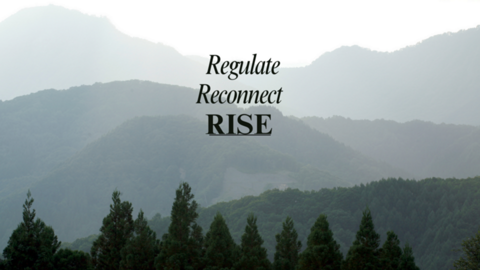 Regulate Reconnect Rise