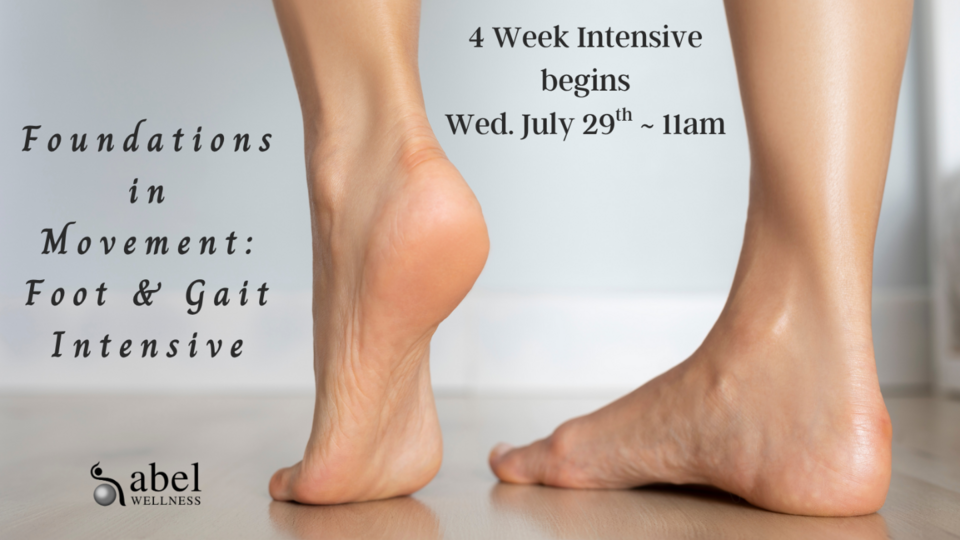 Foundations of Movement: Foot & Gait Clinic