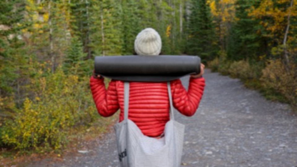 Trauma Informed Practice: On and Off the Mat $675