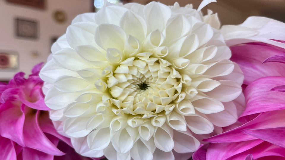 Offering Image