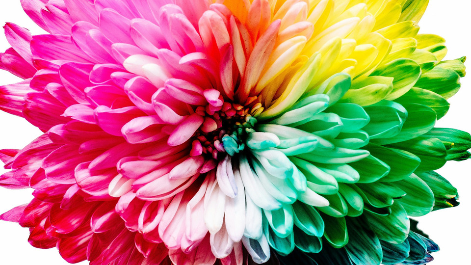 Offering Image