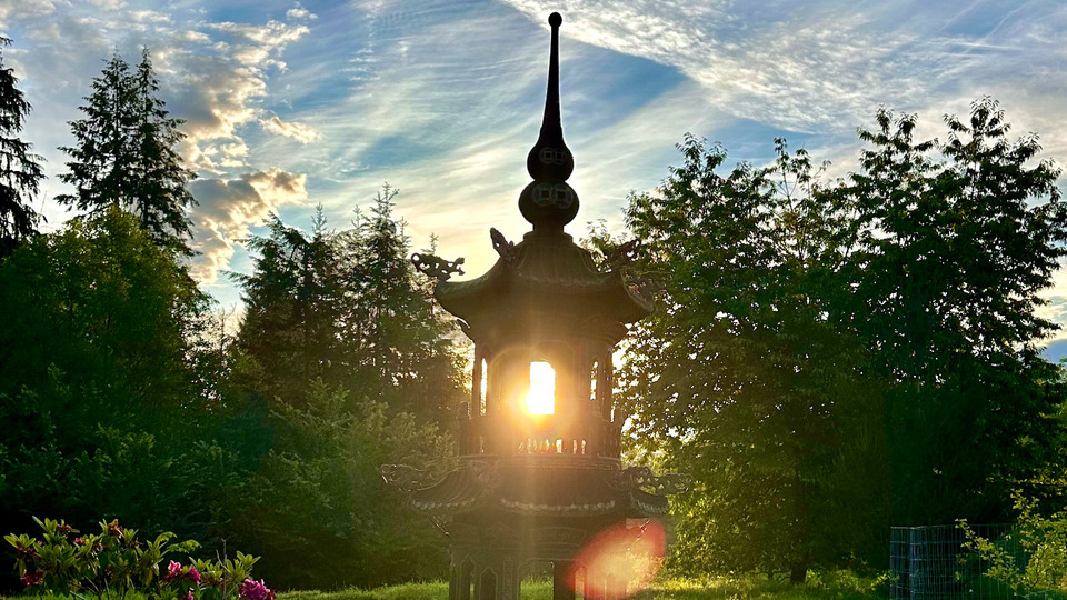 Jade Member (Unlimited classes / month)