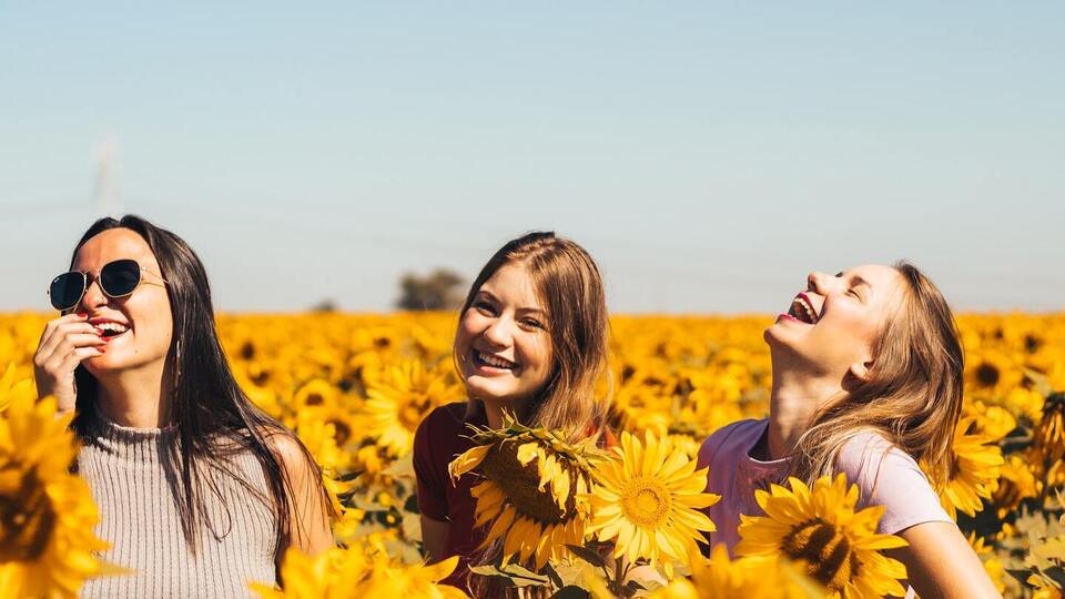 Small Group Movement Training: 4 Pack