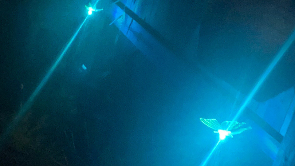 Monthly Subscription 