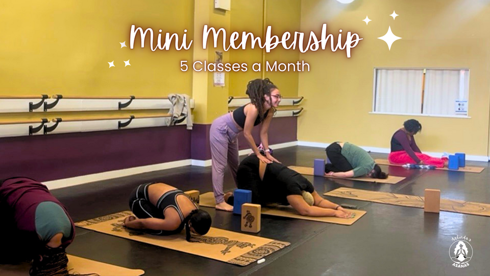 Mini Membership | 5 Classes a Month