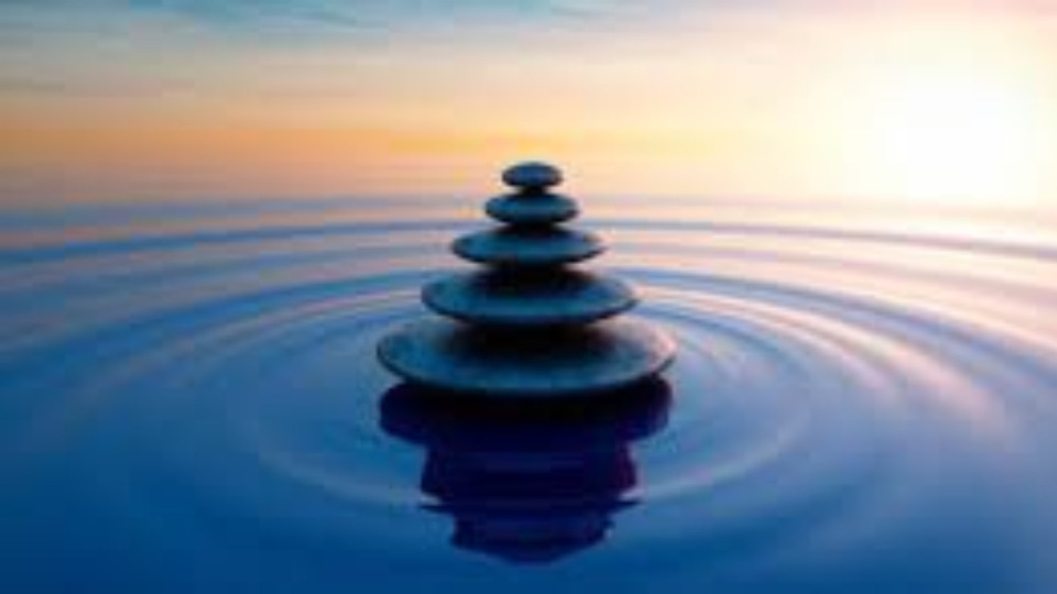 The Body·s Wisdom Package