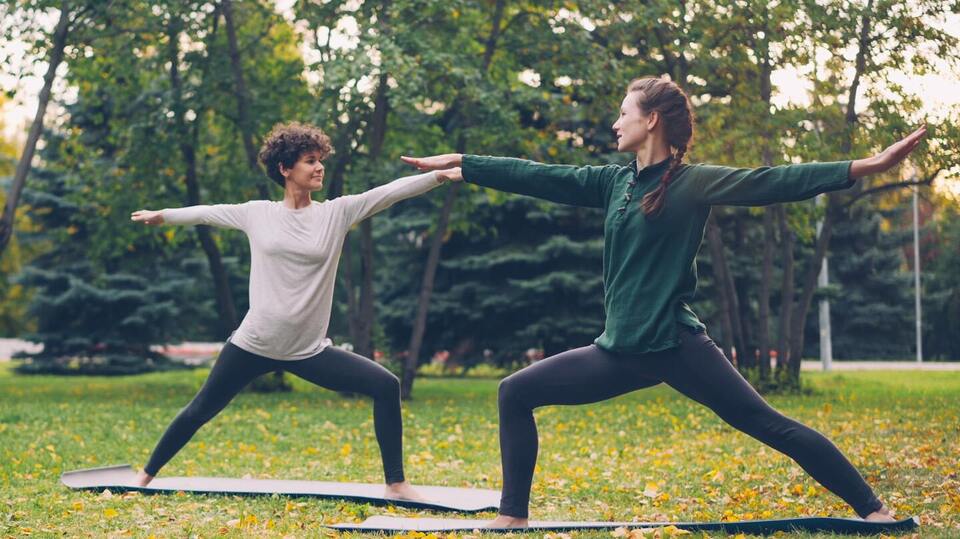 The Buddy Membership 