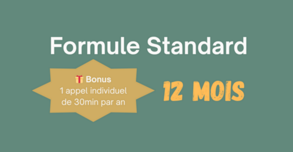 SYQ - Standard - 12 mois