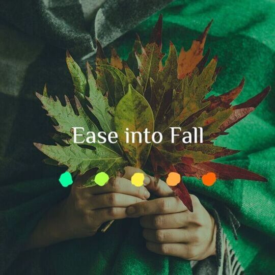 Offering Image