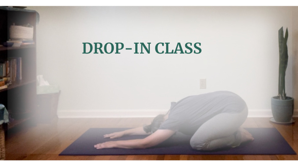 Drop-In Class
