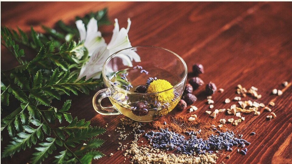 Ayurvedic Wellness Consultation