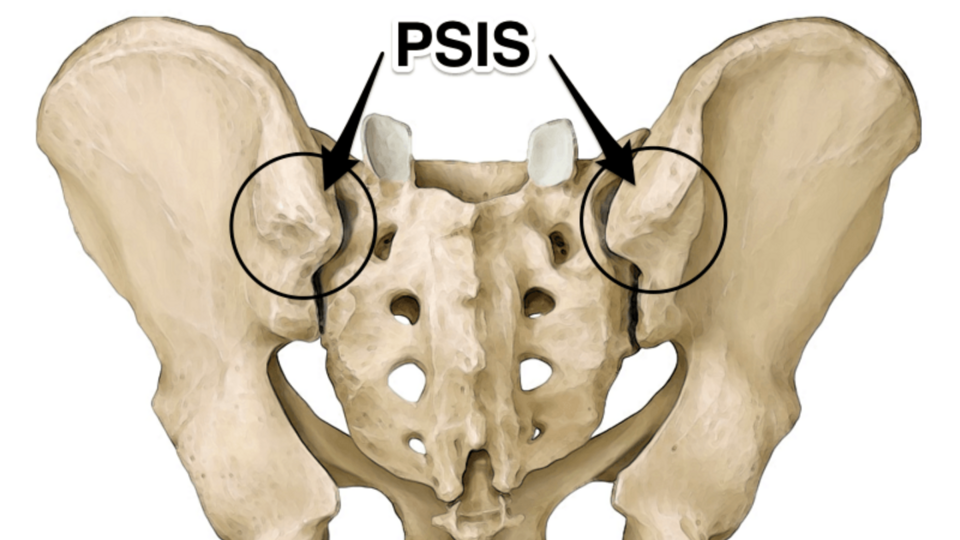 Psis Email Equipment Mat: PSIS