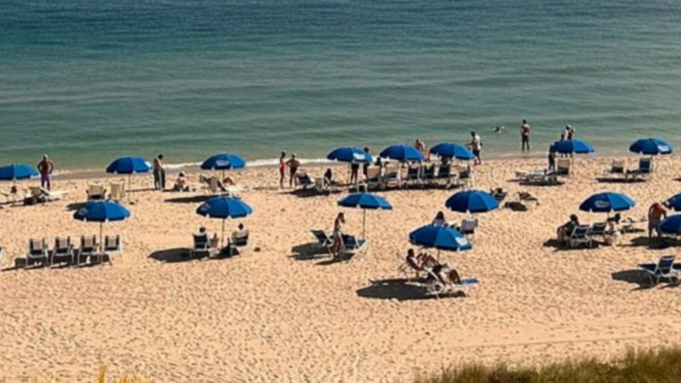Zoom Link Access Beach Yoga at Plunge Resort Lauderdale-By-The-Sea